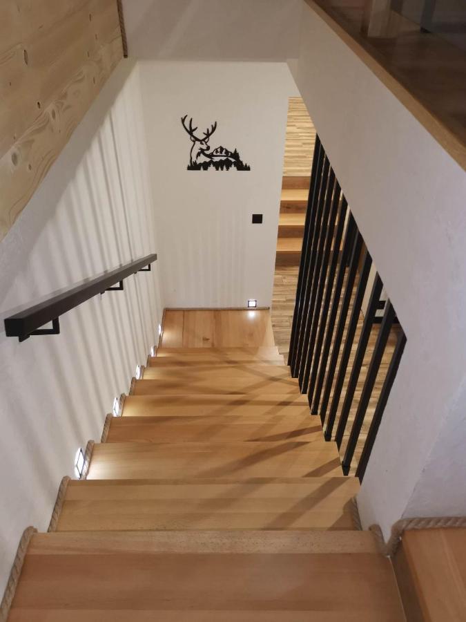 Apartament Skorusinka W Poblizu Chocholowskich Term Witow  Exterior photo