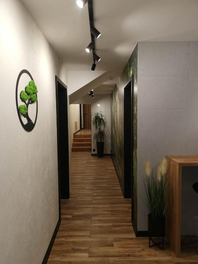 Apartament Skorusinka W Poblizu Chocholowskich Term Witow  Exterior photo